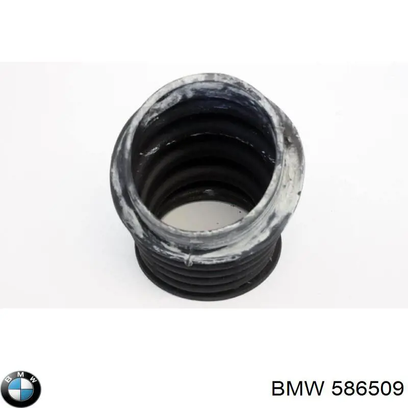586509 BMW 