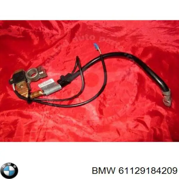 61129184209 BMW Cabo de terra de bateria recarregável (PILHA)