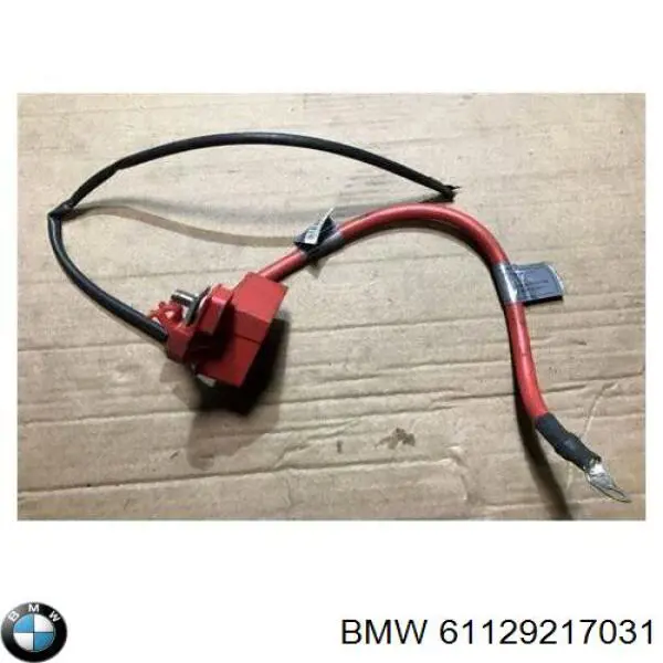 61126938495 BMW Borne de bateria recarregável (PILHA)