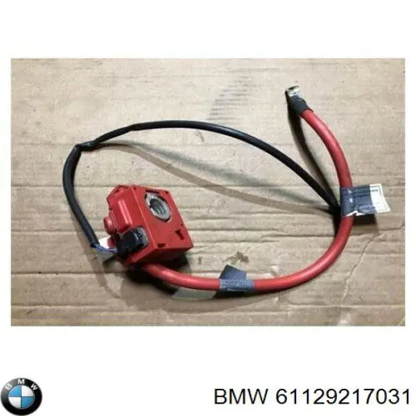 Compre 61126938495 BMW Borne de bateria recarregável (PILHA)