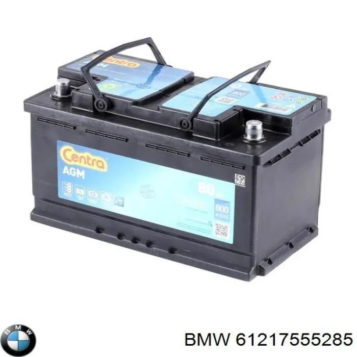 Compre 61217555285 BMW Bateria recarregável (PILHA)