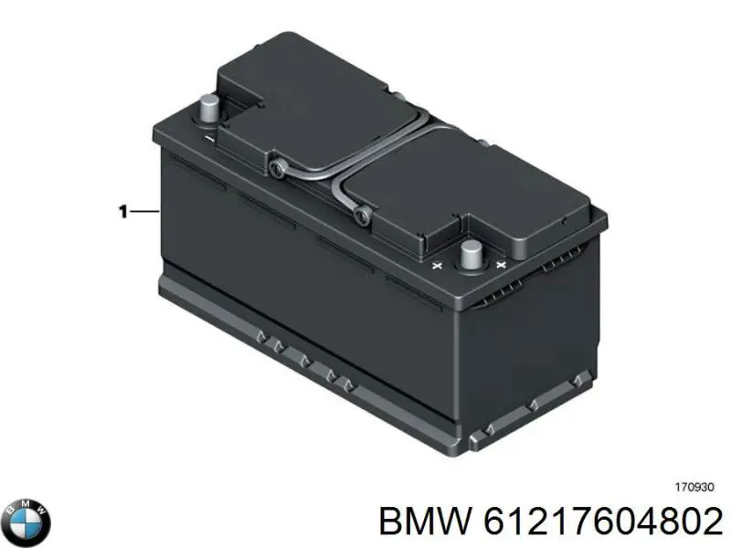 61217604802 BMW Bateria recarregável (PILHA)