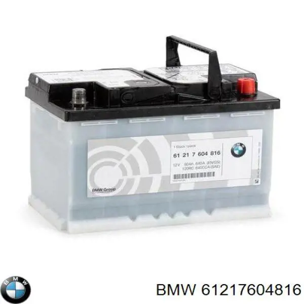 61217604816 BMW Bateria recarregável (PILHA)