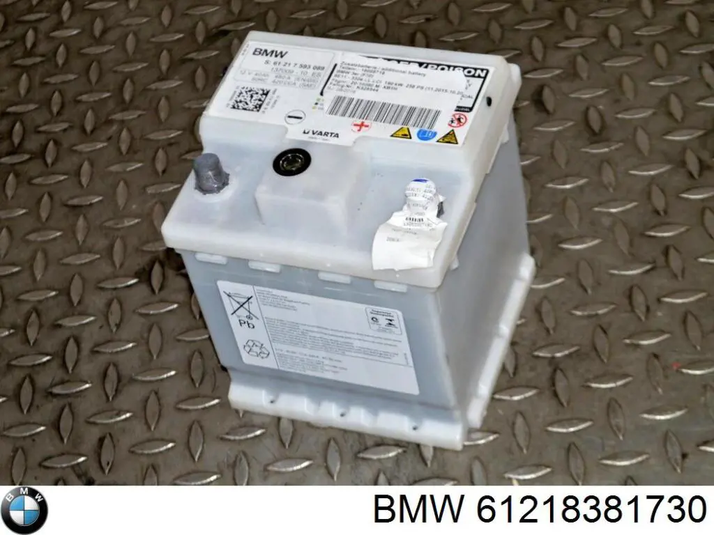 Compre 61218381730 BMW Bateria recarregável (PILHA)