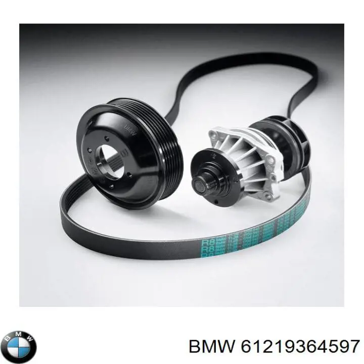 Compre 61219364597 BMW Bateria recarregável (PILHA)