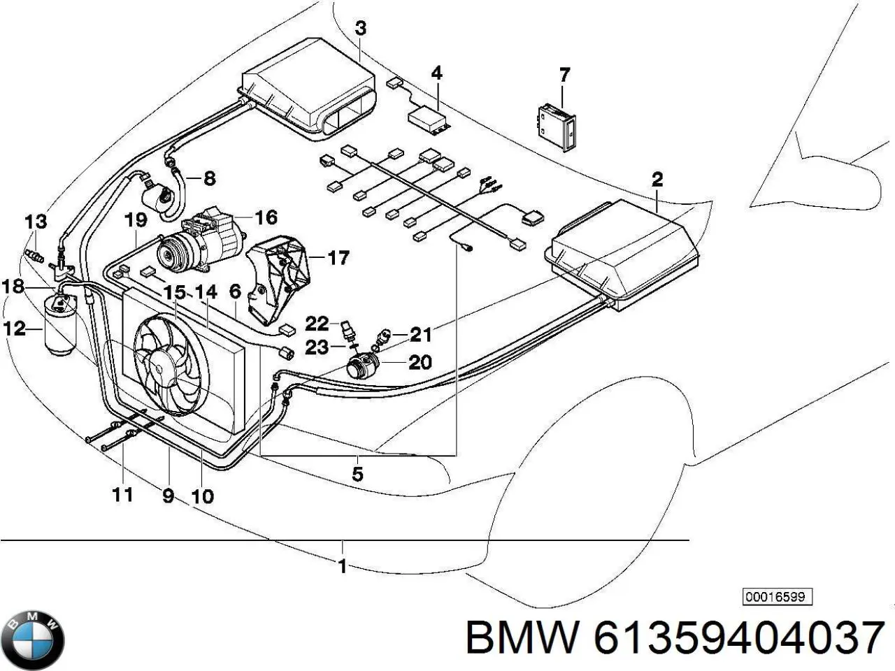 61359404037 BMW 