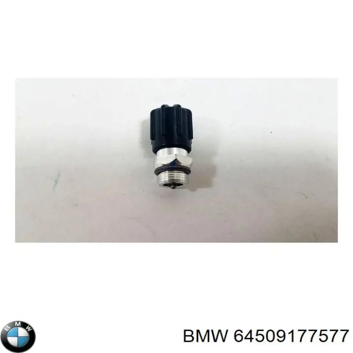 64509177577 BMW Válvula de reabastecimento de aparelho de ar condicionado