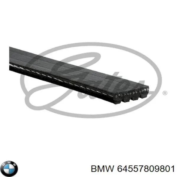 Compre 64557809801 BMW Correia dos conjuntos de transmissão