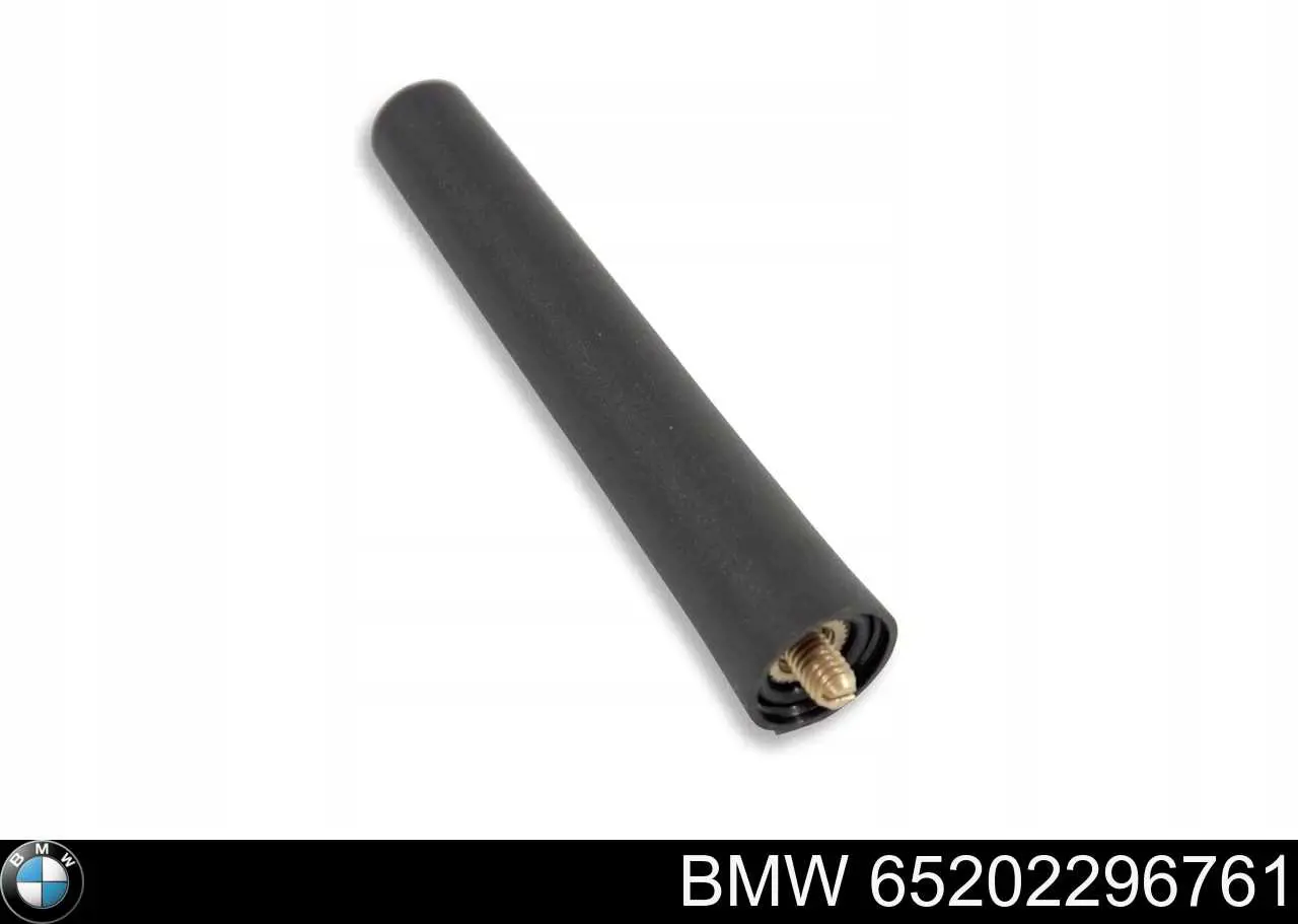 61319253767 BMW 