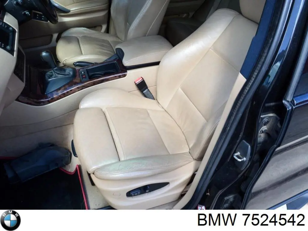 Compre 7524542 BMW Redutor do eixo dianteiro