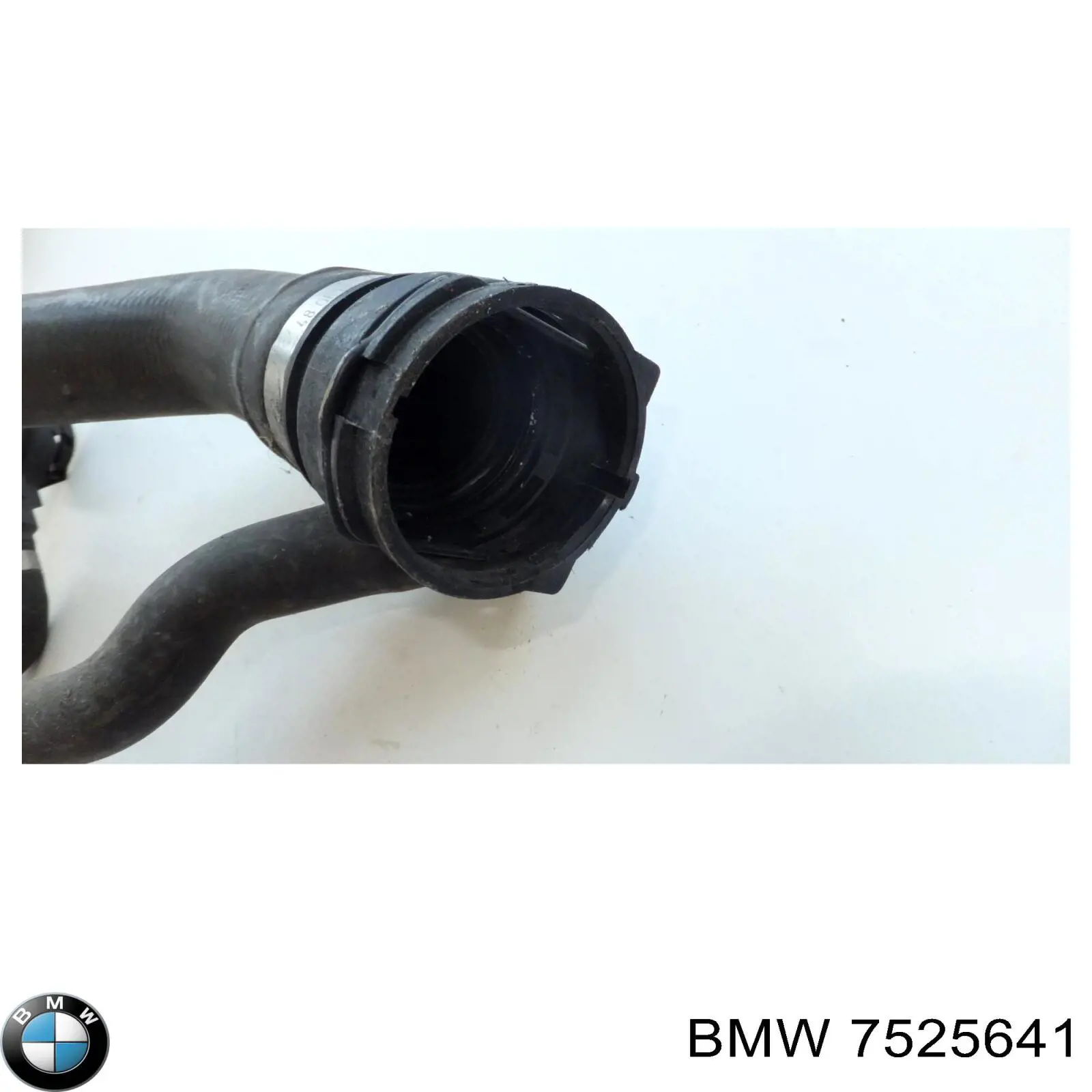 Compre 7525641 BMW 