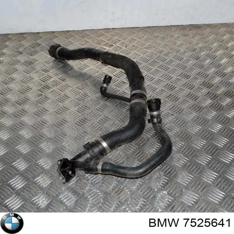 Compre 7525641 BMW 