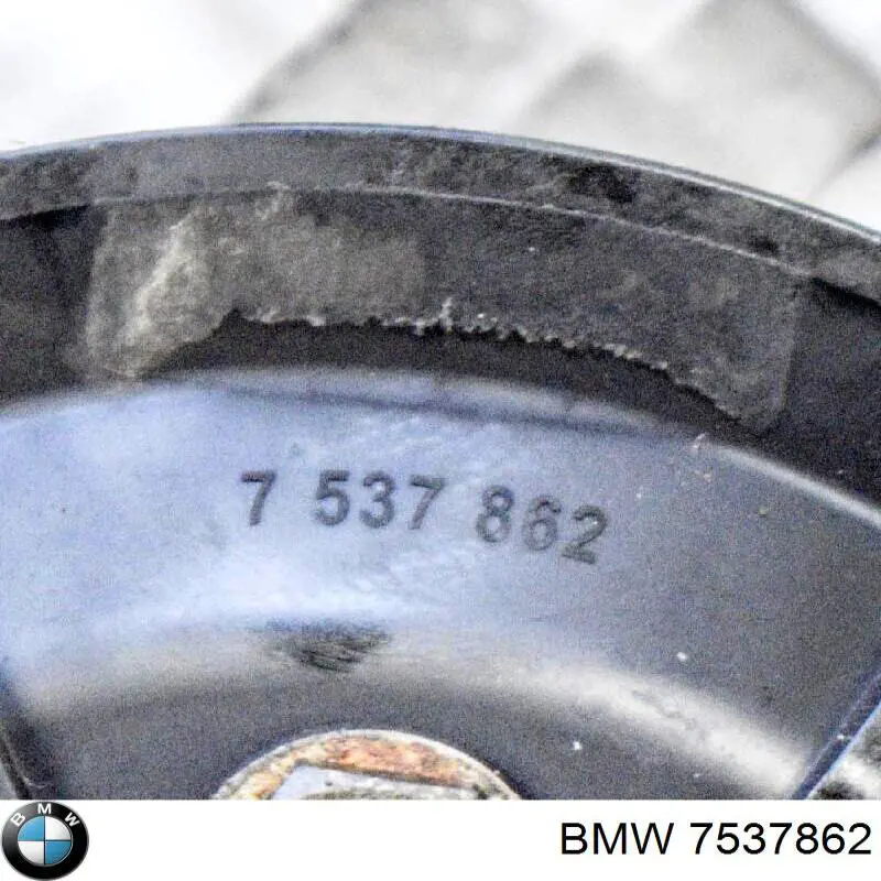 7537862 BMW Polia da bomba de água