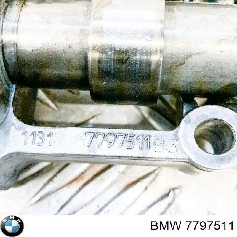 7797511 BMW Cama da árvore distribuidora