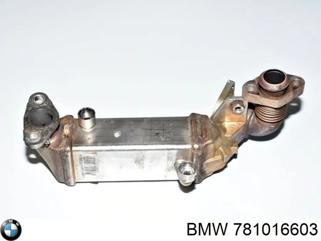 781016603 BMW 