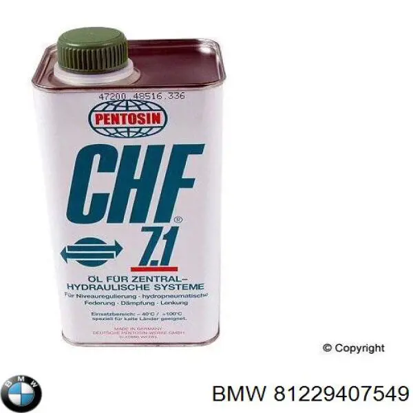 Compre 81229407549 BMW Fluido da Direção hidrâulica assistida