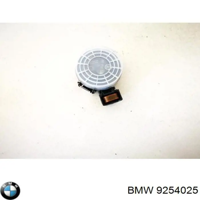 9254025 BMW Sensor de chuva