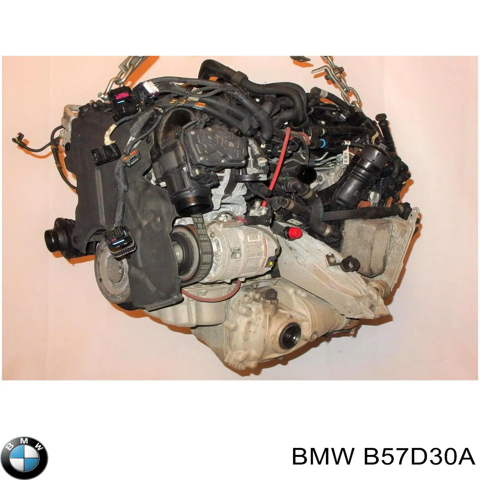 Motor montado B57B57D30A BMW