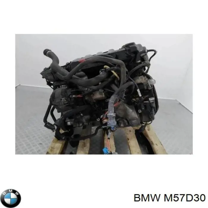 Motor montado BMW M57D30 preço, a partir de 1859,01 USD