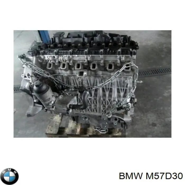 Motor montado BMW M57D30 preço, a partir de 1804,31 USD
