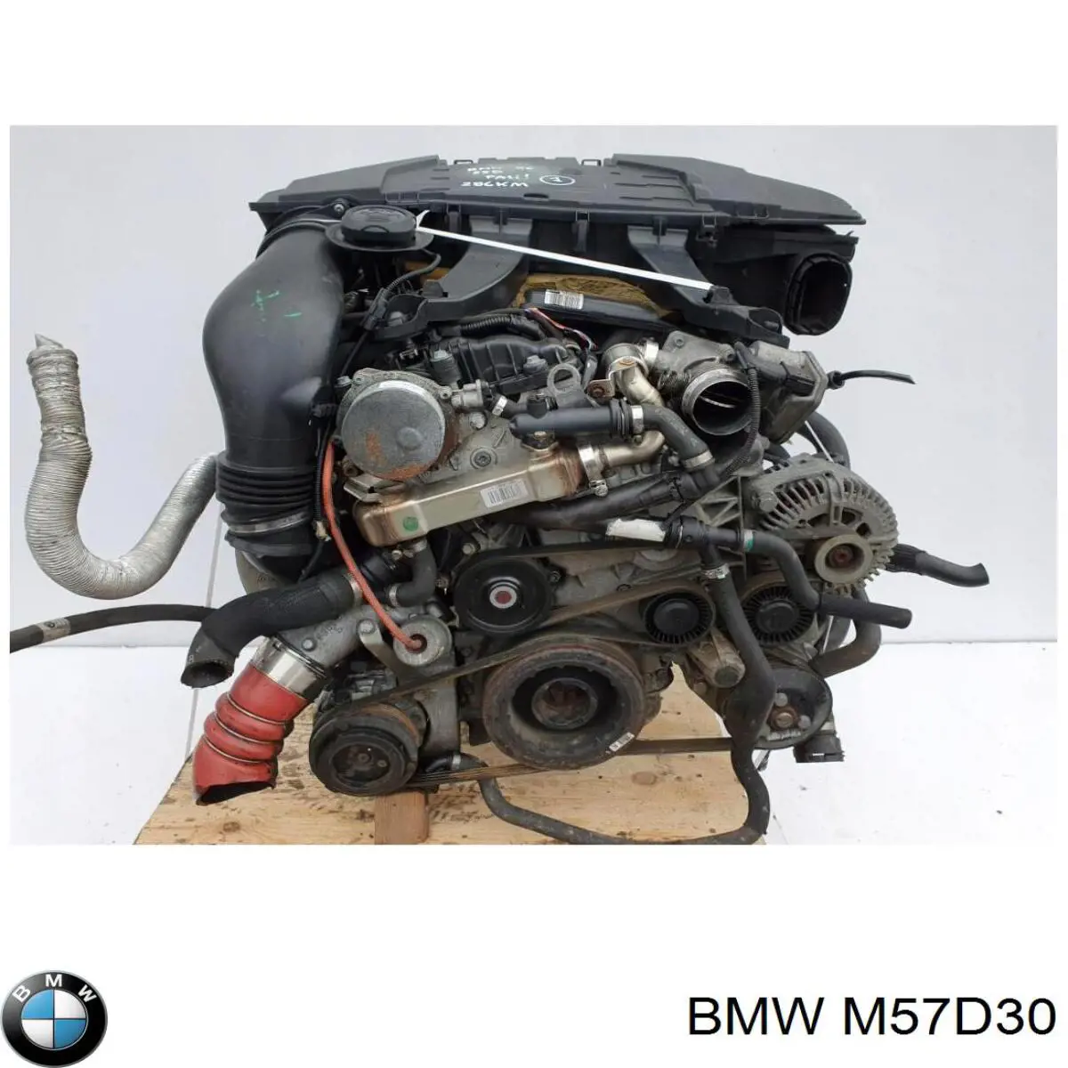 M57D30 BMW Motor montado
