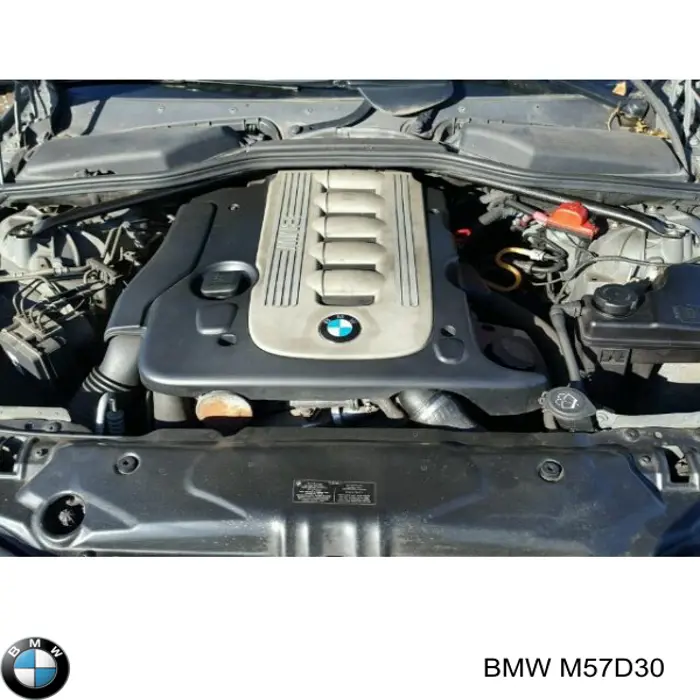 Compre M57D30 BMW Motor montado