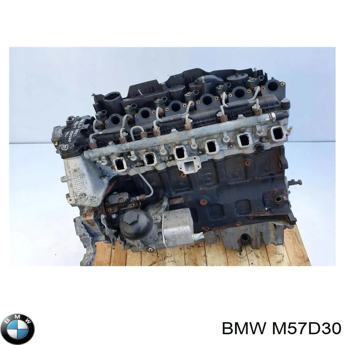 Compre M57D30 BMW Motor montado