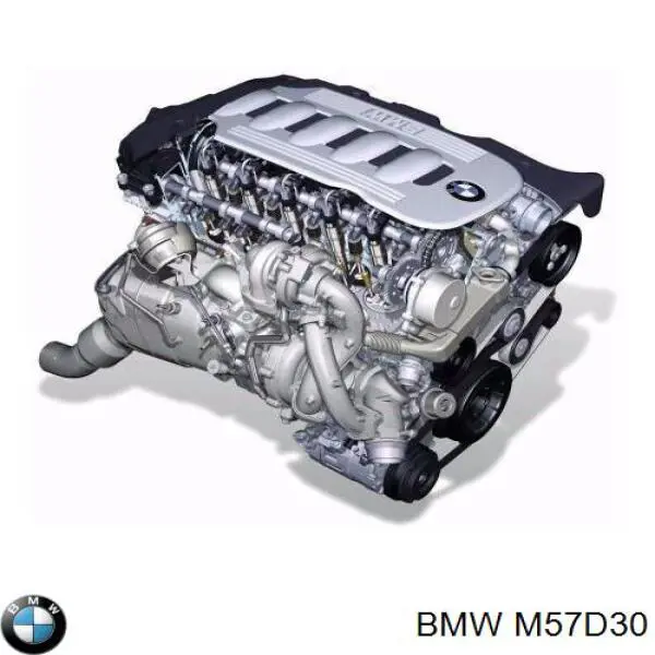 Motor montado M57D30 BMW