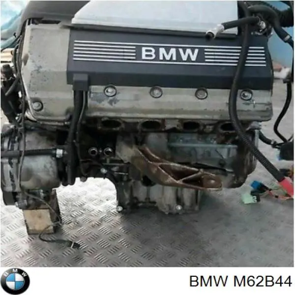 Motor montado BMW M62B44 preço, a partir de 417,69 USD