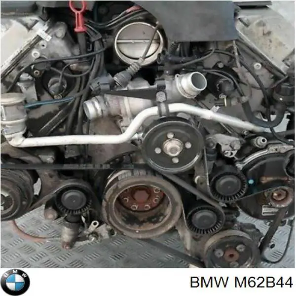 M62B44 BMW Motor montado