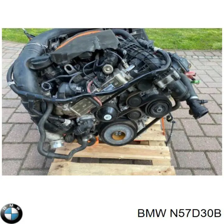 Compre 11002180691 BMW Motor montado