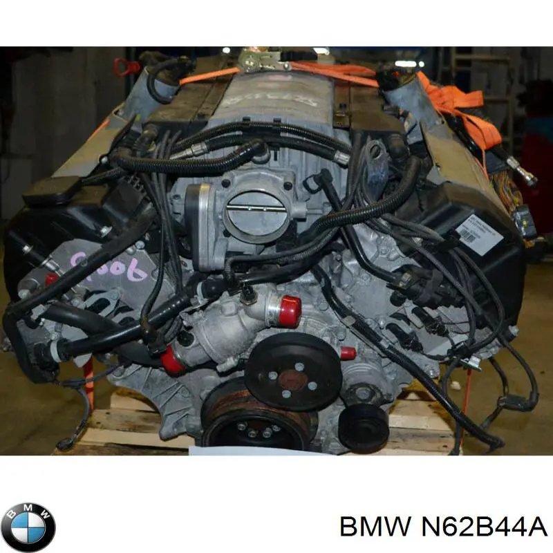N62B44A BMW Motor montado