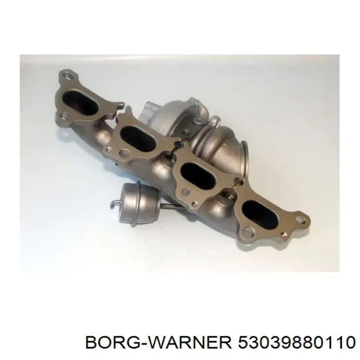 53039880110 Borg-Warner Turbina