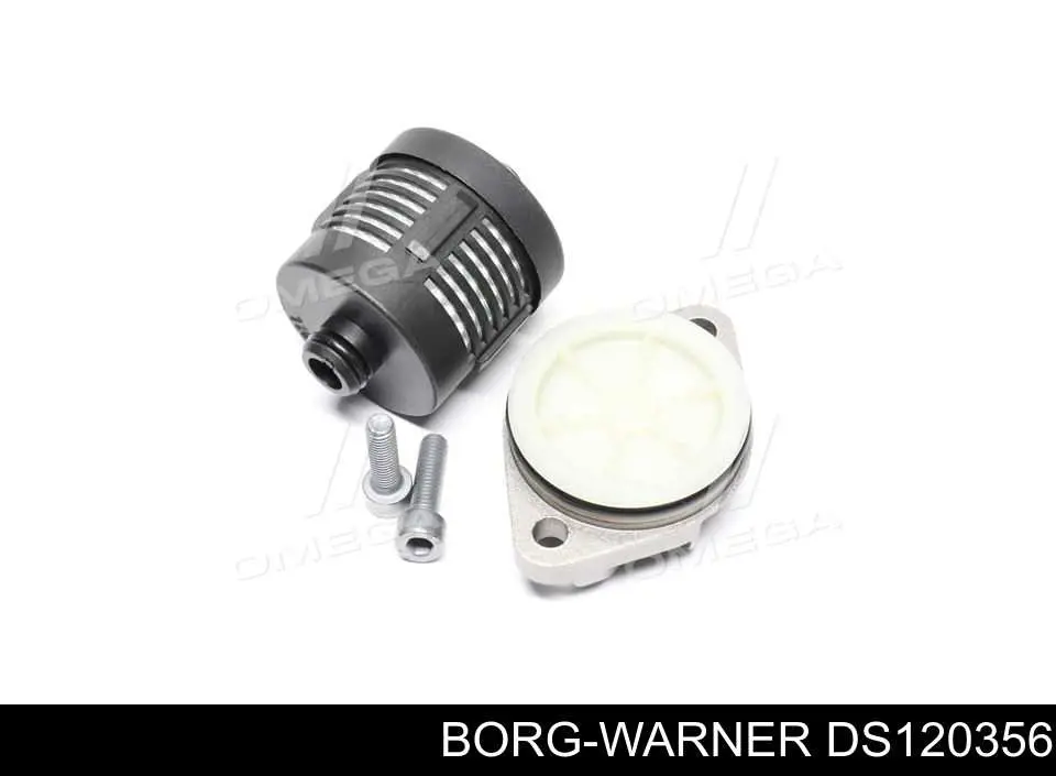 DS120356 Borg-Warner Filtro de redutor traseiro (de acoplamento Haldex)