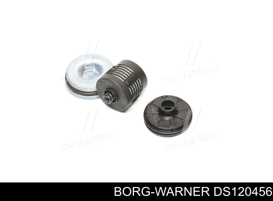 DS120456 Borg-Warner Filtro do sistema hidráulico