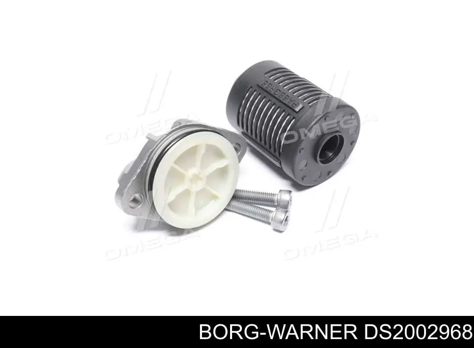 DS2002968 Borg-Warner Filtro de redutor traseiro (de acoplamento Haldex)