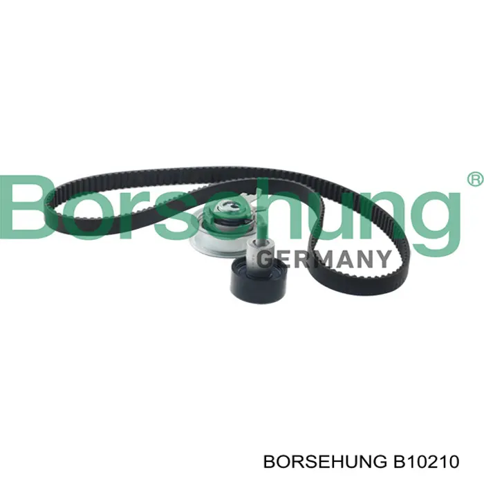 B10210 Borsehung Correia do mecanismo de distribuição de gás, kit