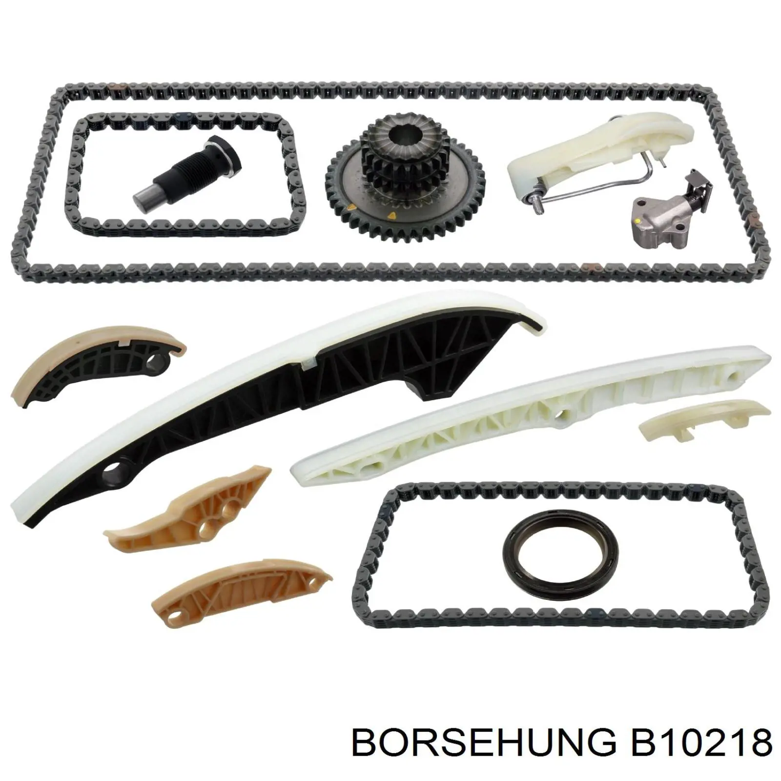 B10218 Borsehung 