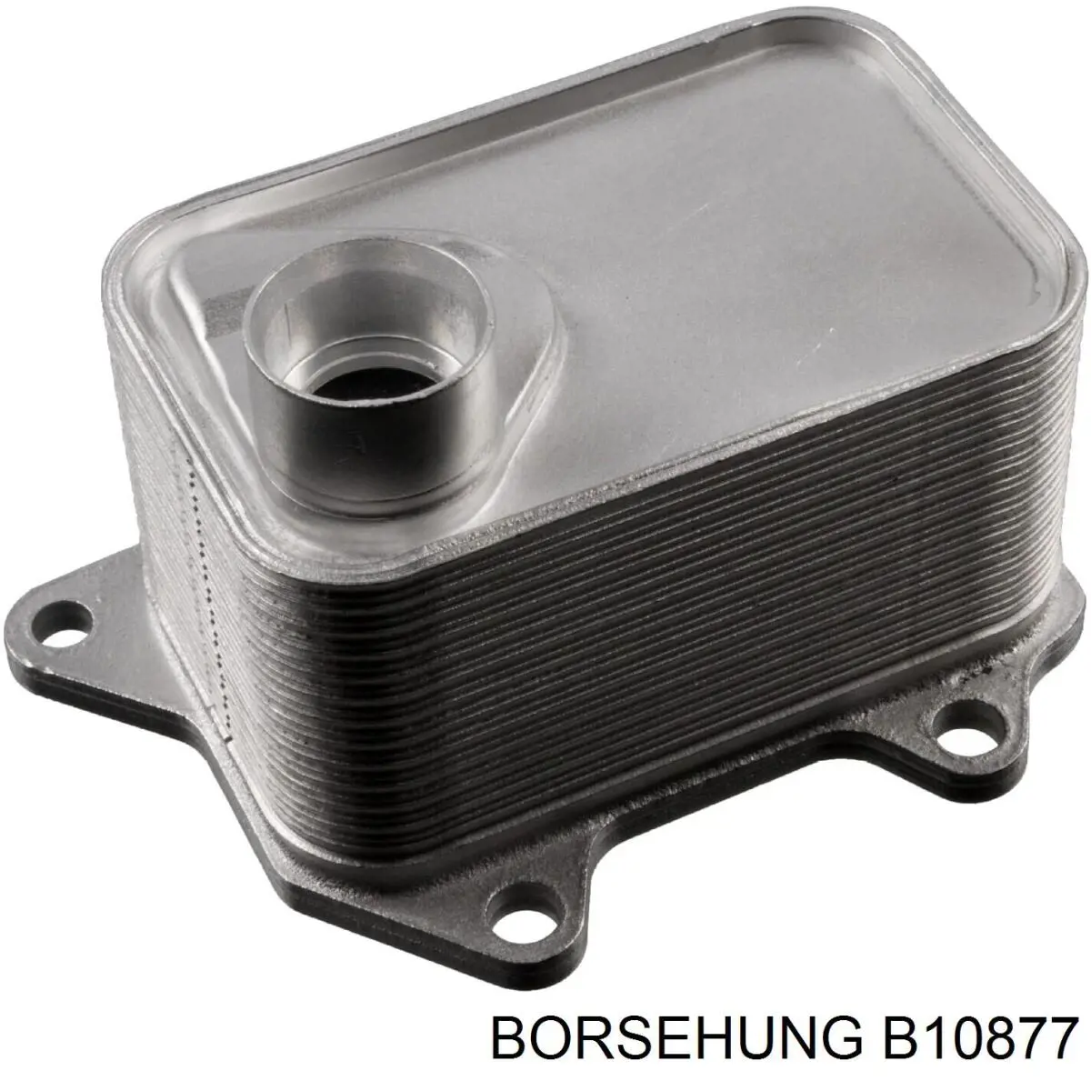 Radiador de óleo (frigorífico), debaixo de filtro Borsehung B10877 preço, a partir de 66,40 USD