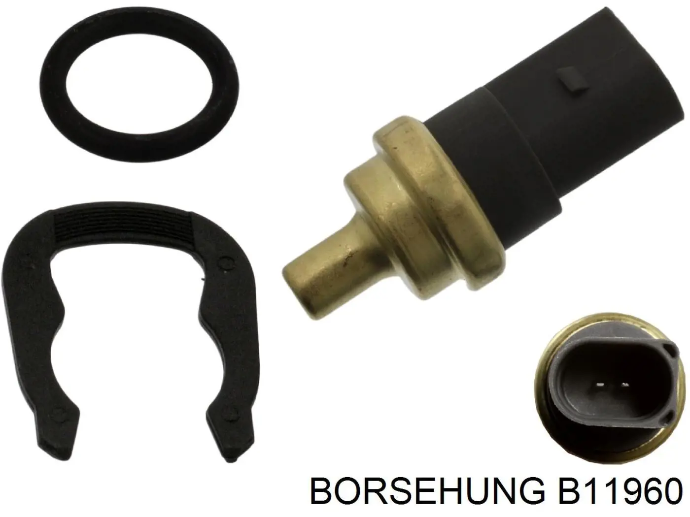 B11960 Borsehung Mangueira (cano derivado) inferior do radiador de esfriamento