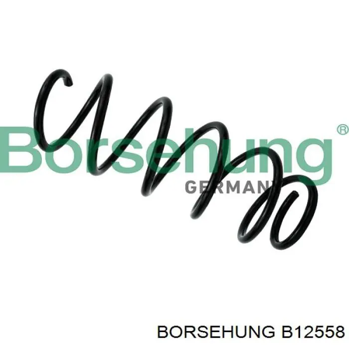 B12558 Borsehung Mola dianteira