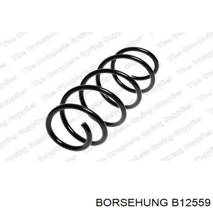 Compre B12559 Borsehung Mola dianteira