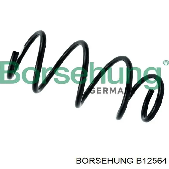 B12564 Borsehung Mola dianteira