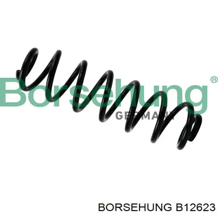 B12623 Borsehung Mola dianteira