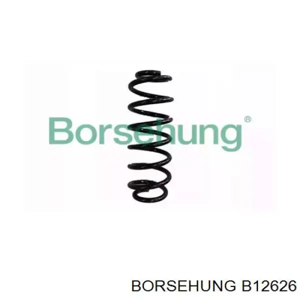 B12626 Borsehung Mola dianteira