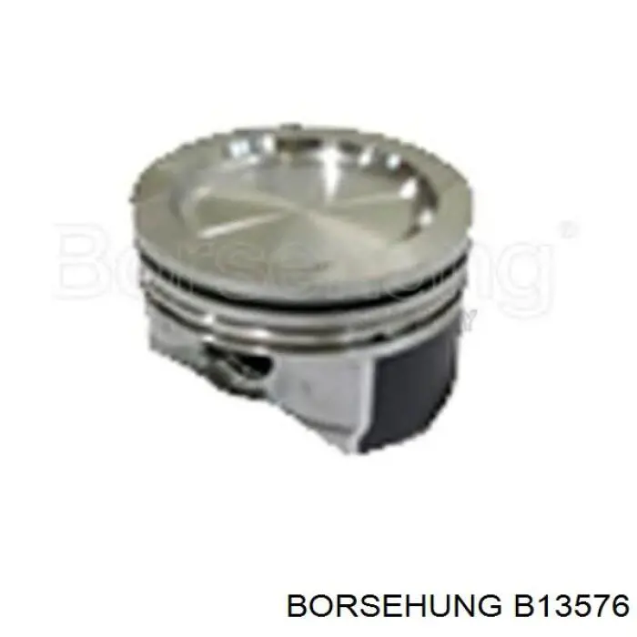 B13576 Borsehung Pistão (kit para um motor), STD