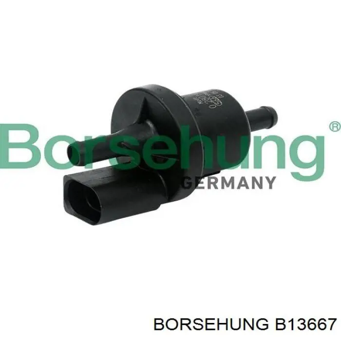 B13667 Borsehung Válvula de ventilação dos gases do tanque de combustível