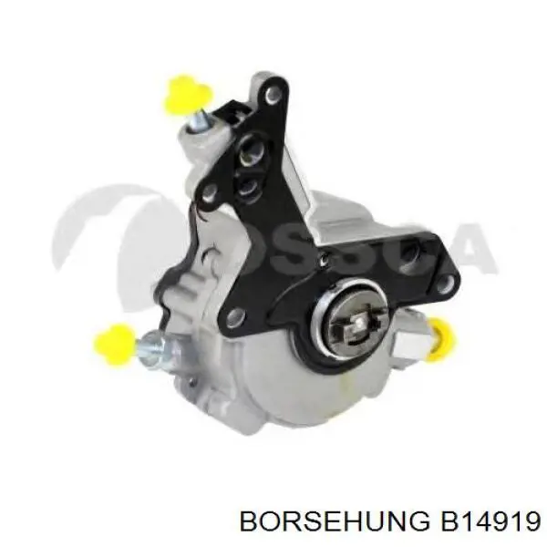 Compre B14919 Borsehung Bomba de combustível de tandem