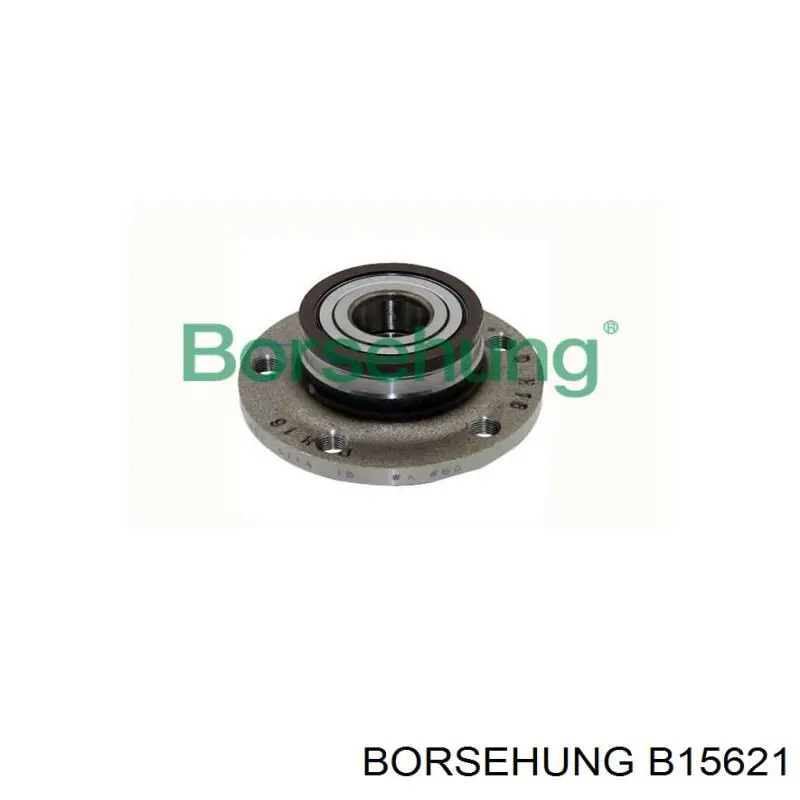 B15621 Borsehung Cubo traseiro