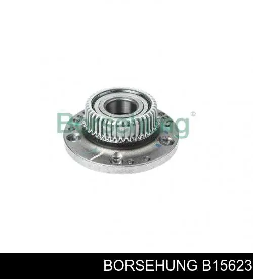 B15623 Borsehung Cubo traseiro